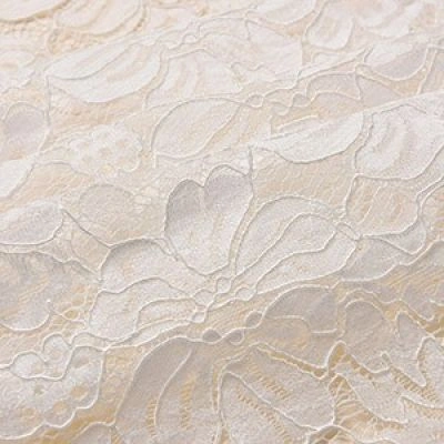 Nylon Lace Fabric